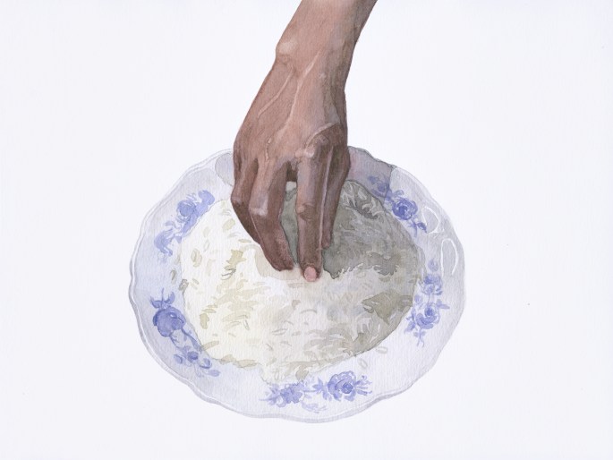 Rice plate
