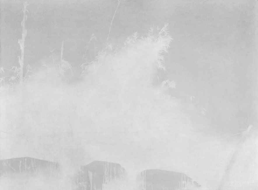 Aniruddha Biswas, Almost There 2, 2025, graphite drawing on paper showing a blurred village landscape with vegetation emerging through erasure.